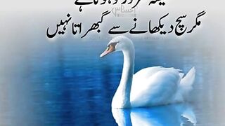 شیشہ کمزور ہوتا ہے ...... پلیز اشتہار پر کلک کریں شکریہ