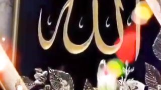 اک میں ہی نہیں ان پر قربان زمانہ ہے