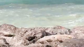 Beach of Dubai