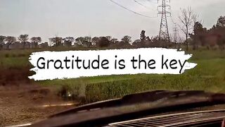 Gratitude