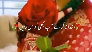 Romantic and more romantic  couples