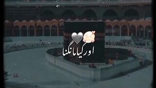 دل کا سکون