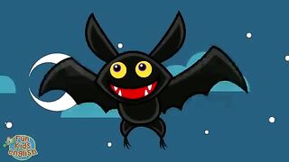 I like animals animals song
