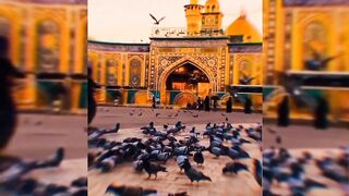 کن فیکوں