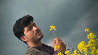 Hay tamanah meri trending song