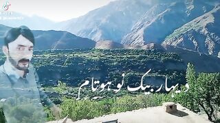 فنی وڈیو