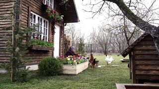 Village life Azerbaijan