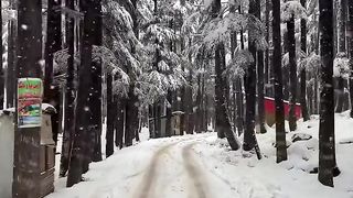 Usho Jungle Kalam swat Snow Falls