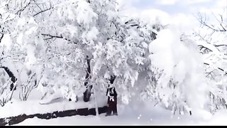 Snow enjoy