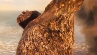 Amazing video