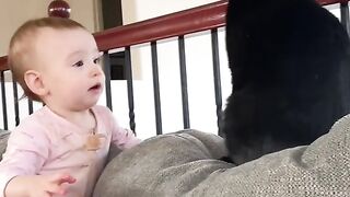 Funniest Baby And Cat Are Best Friends - Cute Babies and Cats Videos