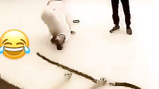 Most funny arabi video