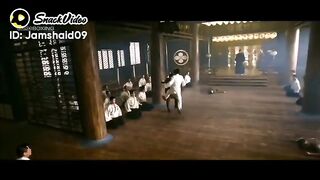 Best fight scene by Chinese movie