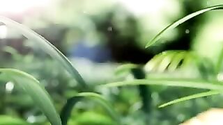 Nature's Beautiful Vedio Nature