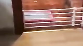 Cat funny clip # latest funny fantestic 2023