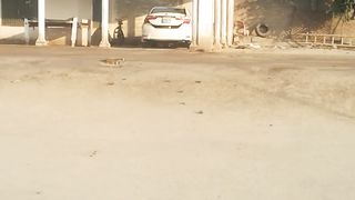 Viral home video