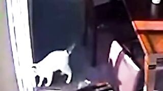 Funny clip # best funny video 2023