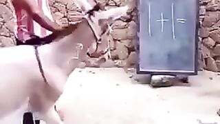 Kon kehta hy khote ke Pas aqal ni hoti