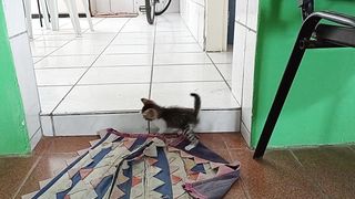 Aprendendo a pular.