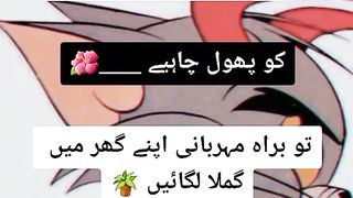 Happy Valentine's day