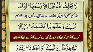 Tallawet or Tarjuma Quran e Pak