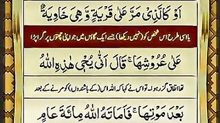 Tallawet or Tarjuma Quran e Pak