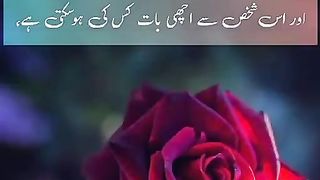 Tallawet or Tarjuma Quran e Pak