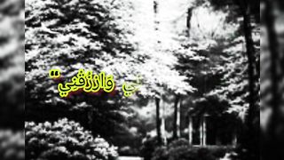 Best Dua