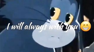 Tom and jerry