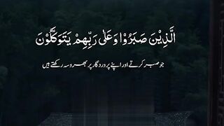 Best heart melting Quran telawat