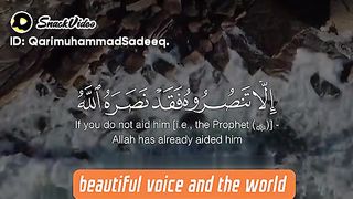 Best heart melting Quran telawat
