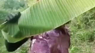 Funny clip watch till end