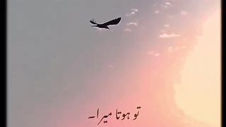 capcut#trending#livestream#potery#templates#tiktok#shorts#reels#