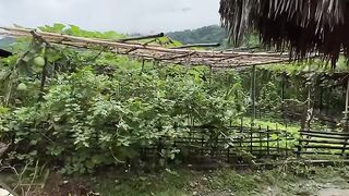 Village vlog