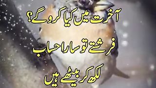 Best Short Urdu Quotes - Best Urdu Motivational Short Quotes