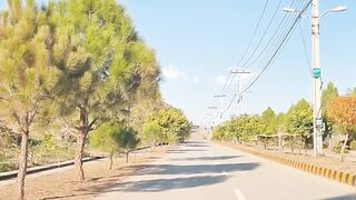 Nice nature driving