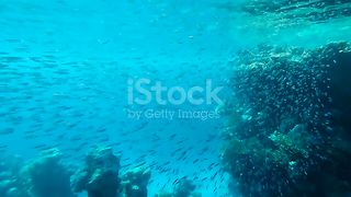 just feel this beauty of Sea