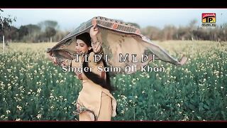 Sadi Yaari Sab Tey Bhari  Saim Ali Khan