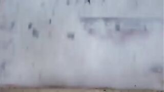 Best army training for loveing land