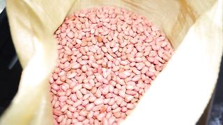 peanut oil processing