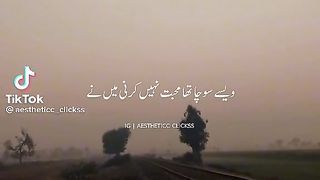 Viral video tiktok shairi