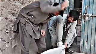 Funny video