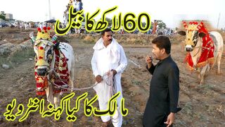 60 Lakh ka Bail Jalsa Khairpur