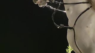 حياتي