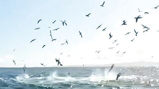 Amazing Hunting