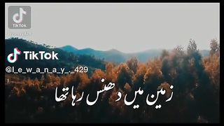 Zameen