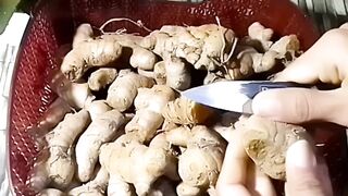 Save turmeric for whole year