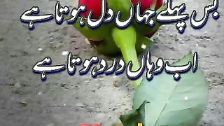 Deep Line Poetry ???? in urdu