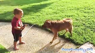 Baby dog water Masti