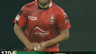 Qalandars winning moments